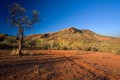 Larapinta_20080610_419 copy